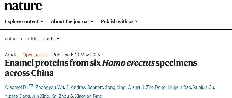 全球首次!付巧妹团队从40万年前直立人牙齿中提取谱系蛋白,重写了人类40万年的演化史